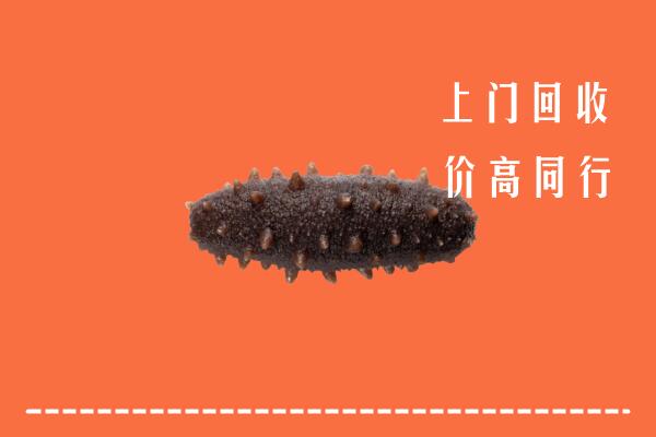 个旧市回收海参
